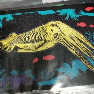 Coloring of sea life